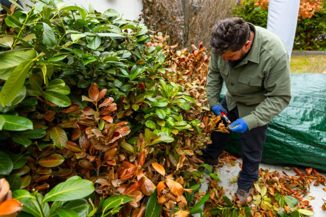 Wiosenne porządki w ogrodzie