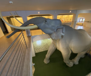 Muzeum Okręgowe w Koninie
