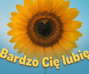 Kartki na Walentynki z życzeniami dla ukochanej osoby