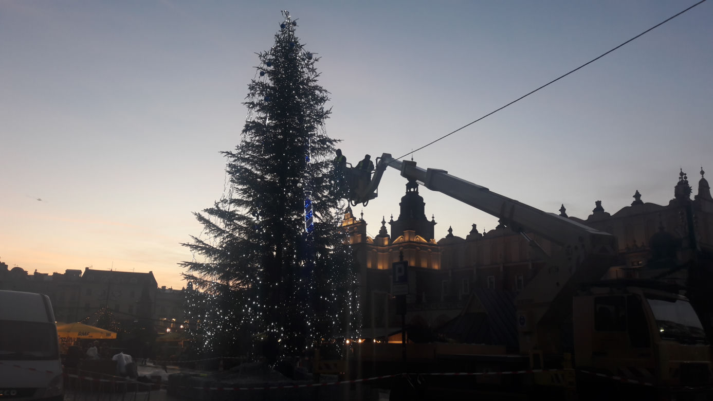 Na krakowskim Rynku pojawiła się już choinka! [GALERIA ZDJĘĆ]