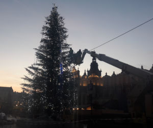 Na krakowskim Rynku pojawiła się już choinka! [GALERIA ZDJĘĆ]
