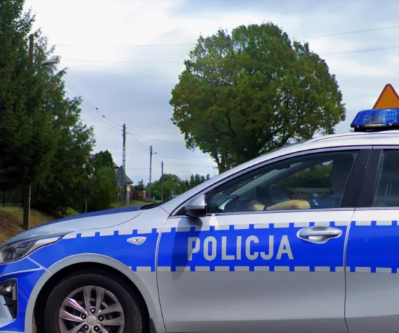 Aleksandra zginęła z rąk własnego syna? Szokująca zbrodnia