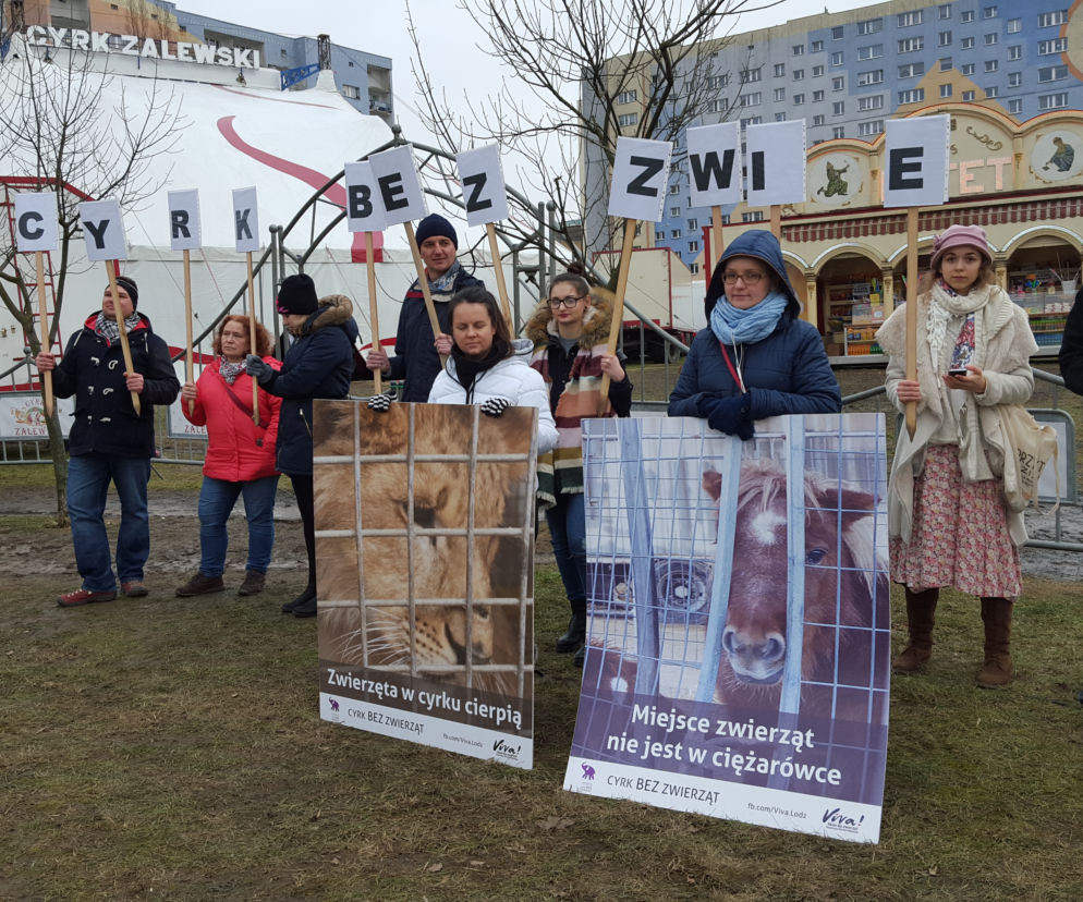 Łódź nie robi cyrku ze zwierząt