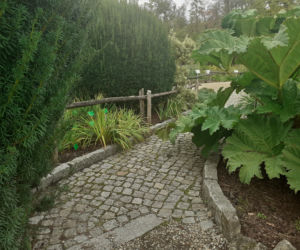 Arboretum Bolestraszyce