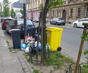 Bydgoszczanie mają już dość! Wciąż toną w śmieciach!