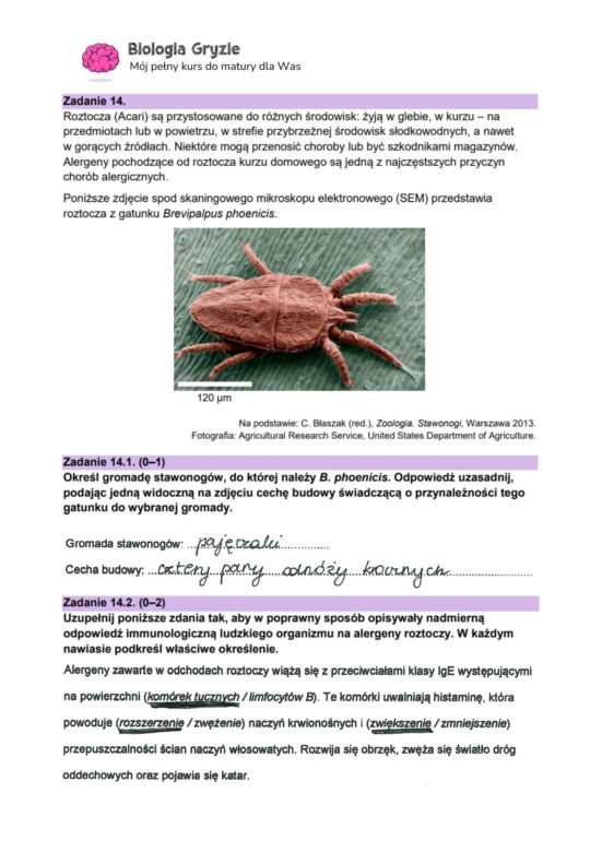 Matura 2024: biologia. Arkusze CKE i odpowiedzi. Poziom rozszerzony [Formuła 2023]