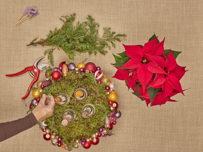 Adwentowa aranżacja z gwiazdą betlejemską