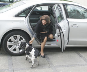 Pieski w Pałacu Prezydenckim