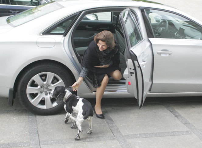 Pieski w Pałacu Prezydenckim