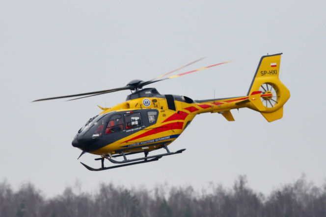 Koń przygniótł nastolatkę