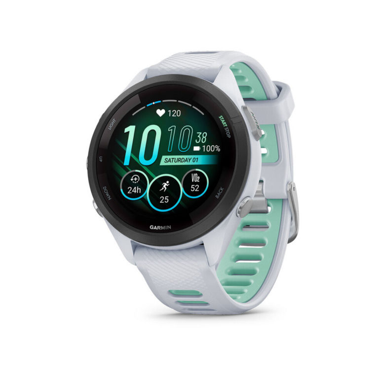 Garmin 265
