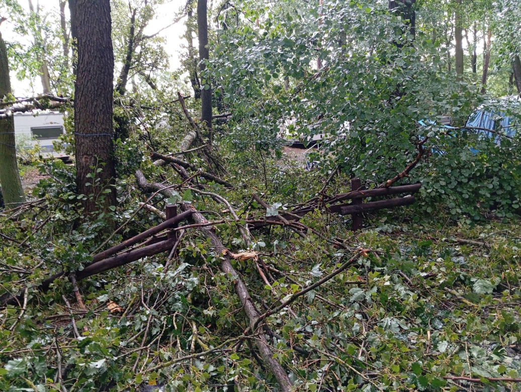 O krok od tragedii nad lubuskim jeziorem. Drzewo spadło na przyczepę campingową. Cud!