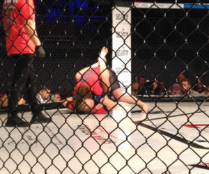 Gala MMA w Lublinie