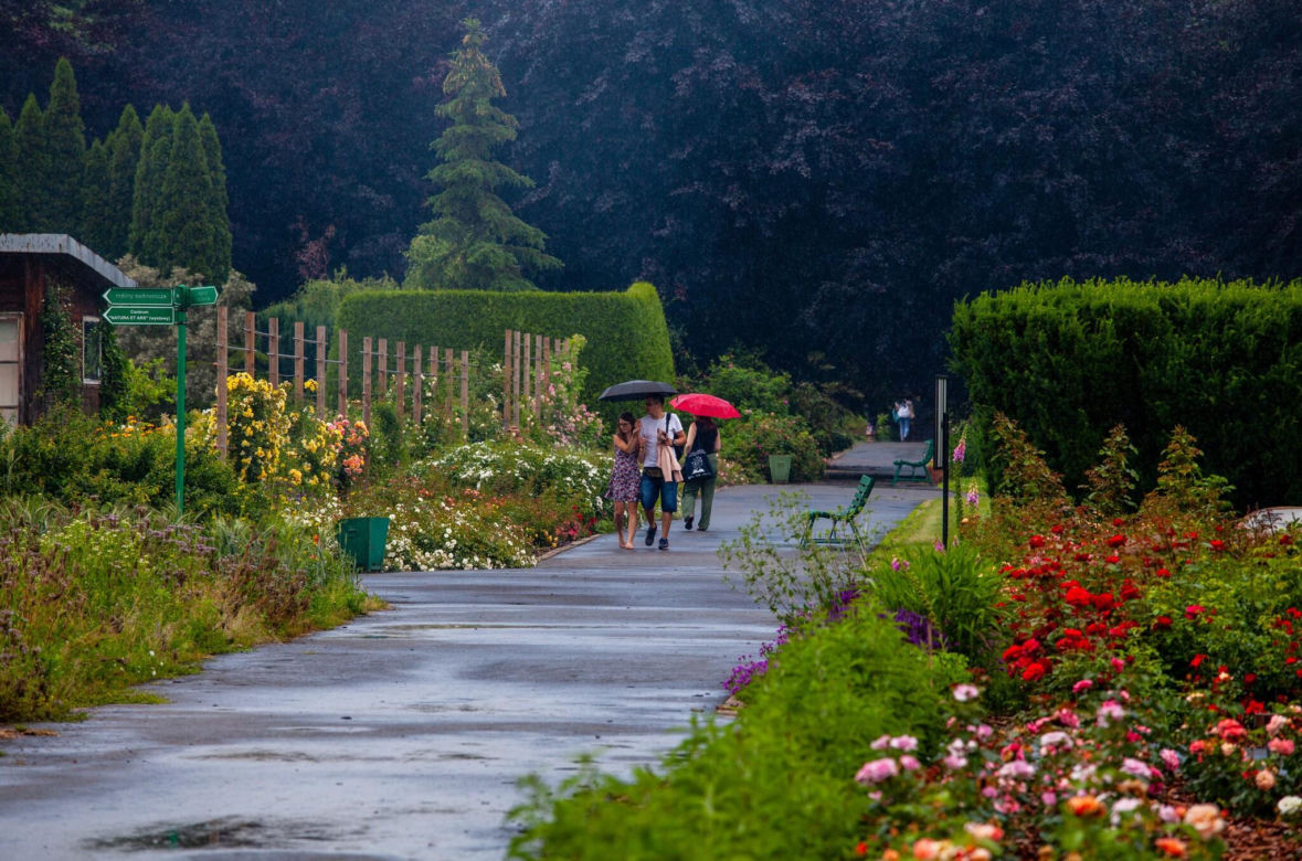 Ogród Botaniczny PAN w Powsinie
