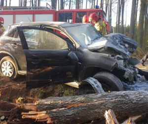 Przasnysz. Auto z kobietą i dzieckiem uderzyło w drzewo! Później spadł na nie pień! [ZDJĘCIA]