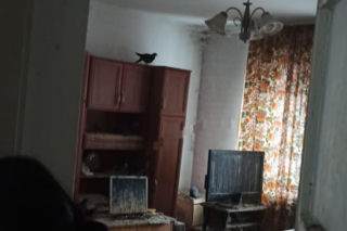 Dramat we Wrocławiu! Weszli do mieszkania i zamarli. Wszędzie były gołębie i odchody