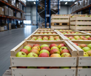 Polska żywność podbija Azję, nie tylko dzięki cenie