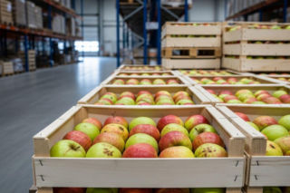 Polska żywność podbija Azję, nie tylko dzięki cenie