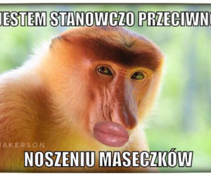 Memy o koronawirusie