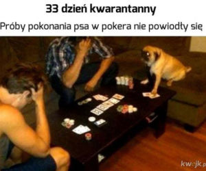 Memy o kwarantannie