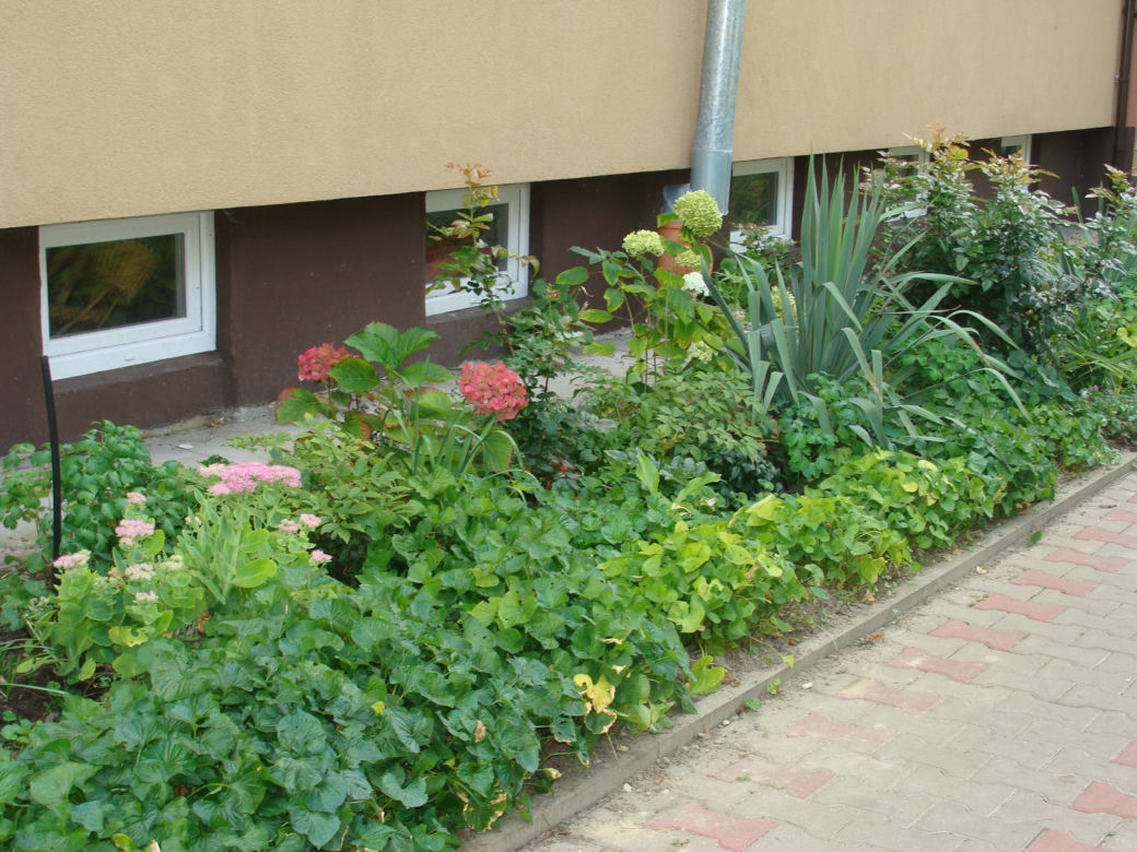 Najpiękniejsze balkony w Starachowicach