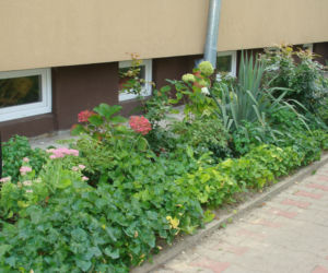 Najpiękniejsze balkony w Starachowicach