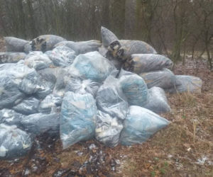 W lesie w pow. górowskim ktoś wyrzucił worki ze skórą