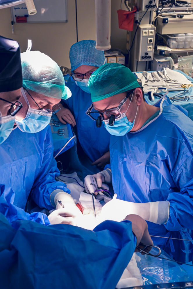 Lekarze WUM usunęli guza z wątroby poza ciałem. Pierwsza taka operacja w Polsce