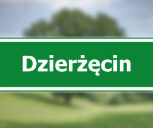 Dzierżęcin