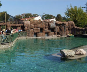 Opolskie zoo