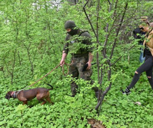 Szokujące znalezisko w miejscu zaginięcia Iwony Wieczorek. Niewiarygodne, co odnalazł Rutkowski [Rutkowski Story wideo]