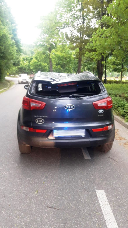 Huraganowy wiatr złamał lipę, jak zapałkę. Drzewo spadło na samochód Ukraińców