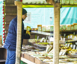 Senator Krzysztof Kwiatkowski na zakupach