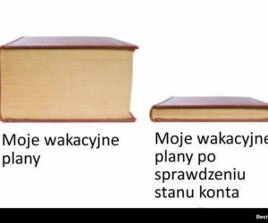 Polacy na wakacjach dają czadu! Zobacz NAJLEPSZE MEMY: Janusz i Grażyna w formie
