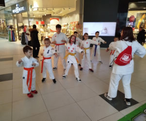 34. Finał WOŚP w Galerii Siedlce