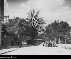 Wieżowiec przy ul. Sewerynów 4