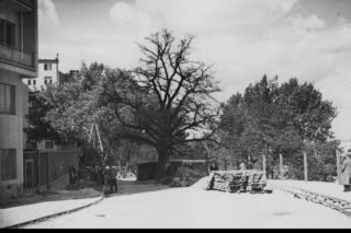 Wieżowiec przy ul. Sewerynów 4