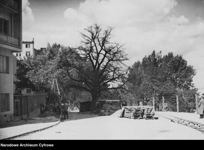 Wieżowiec przy ul. Sewerynów 4