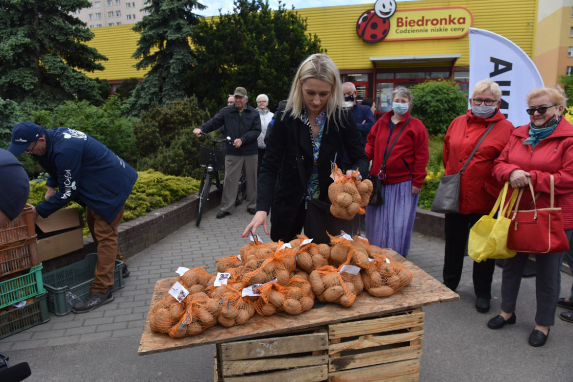 Nietypowy protest Agrounii. Rolnicy rozdawali ziemniaki w Toruniu