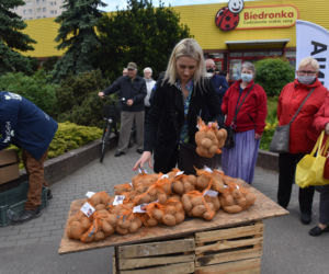 Nietypowy protest Agrounii. Rolnicy rozdawali ziemniaki w Toruniu
