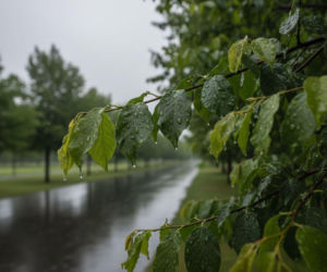 Pogoda na weekend w Katowicach 24-26 kwietnia. Sobota będzie ciepła, ale w niedzielę przyjdzie ochłodzenie z deszczem