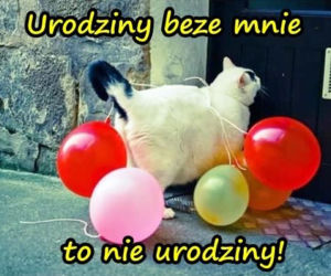 MEMY na urodziny! Zobacz najśmieszniejsze obrazki w internecie [GALERIA]