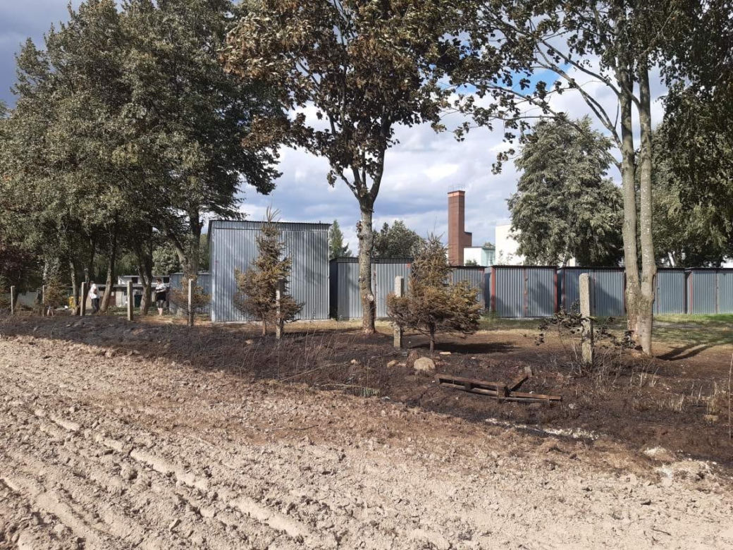 Pożar na polu w Zamartem. Dzielnicowi ewakuowali uczestników festynu
