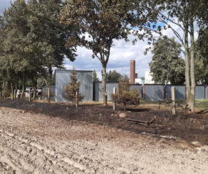 Pożar na polu w Zamartem. Dzielnicowi ewakuowali uczestników festynu