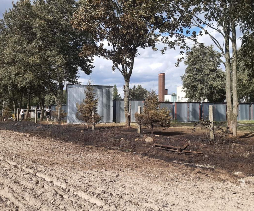 Pożar na polu w Zamartem. Dzielnicowi ewakuowali uczestników festynu