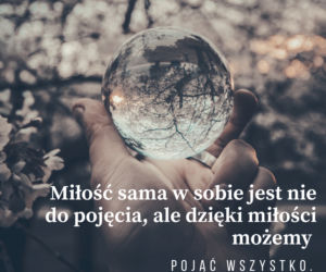 cytaty o miłości