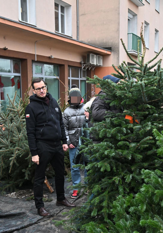 Morawiecki kupuje choinkę na święta