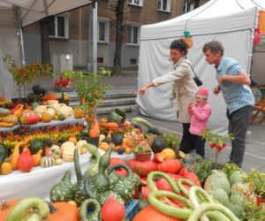 Żółte, pomarańczowe i zielone - za nami V festiwal Zaklęte w dyni.