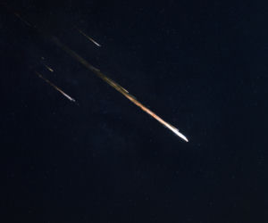 akwarydy