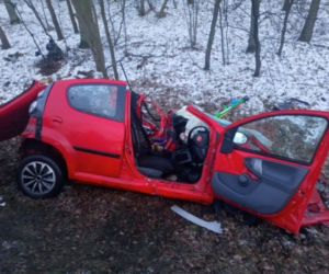Śmiertelny wypadek w Parkowie. Dwie osoby nie żyją. 